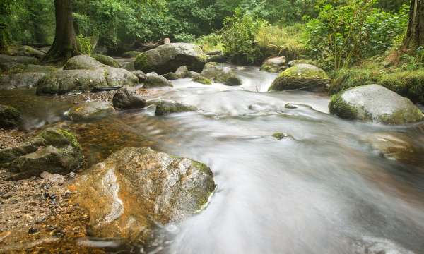 Stream at Becky Falls